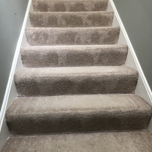 Photo of Bewise Master Cleaning & Restoration