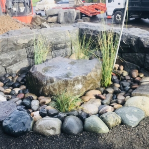 Photo of Stone Water Tree