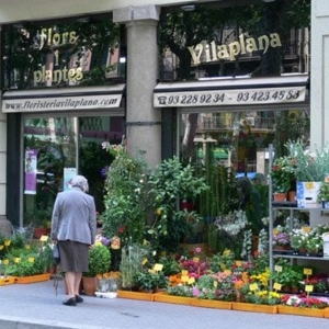 Photo of Flores Vilaplana