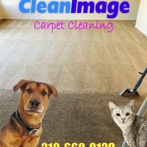 Photo of Clean Image Carpet Cleaning