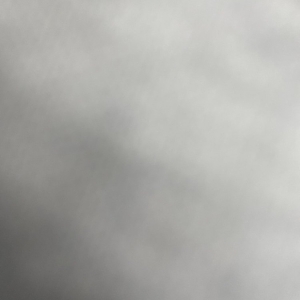 Photo of Professional Movers