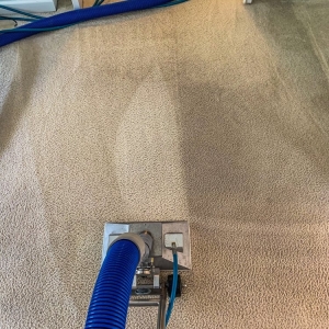 Photo of Mach 5 Cleaning
