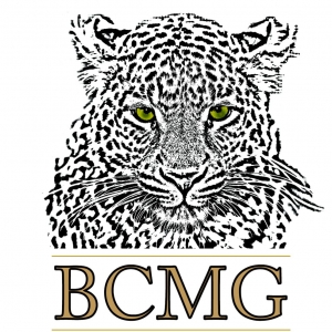 Photo of BCMG