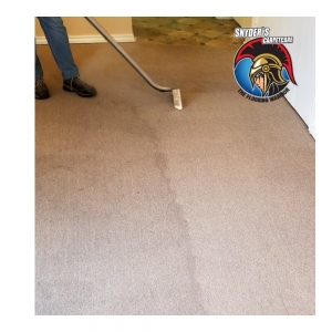Photo of Snyder's Carpet Care