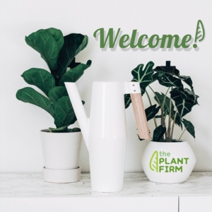 Photo of The Plant Firm