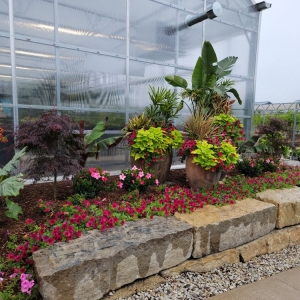 Photo of Ted Lare Design & Build