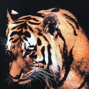 Photo of LA T-shirt Printing
