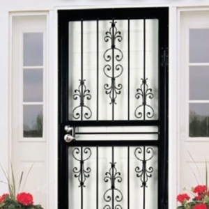 Photo of Streetron Doors
