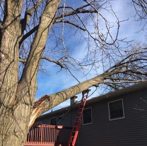 Photo of Expert Roofing
