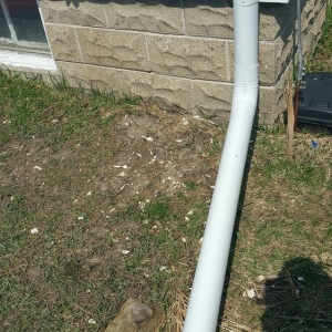 Photo of Expert Roofing