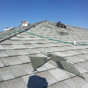 Photo of Exquisite Roofing