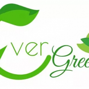Photo of Ever Green Clean