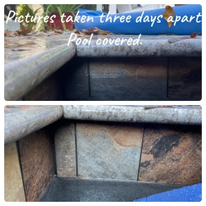 Photo of Aloha Pool Services