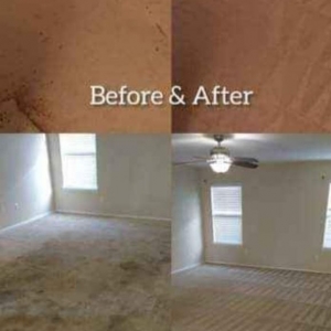 Austin Busy bee cleaning service