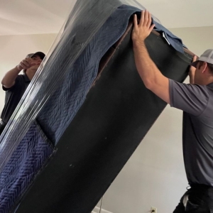 Photo of Movefasa Moving