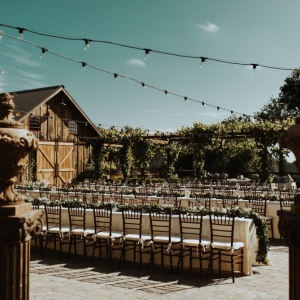 Photo of Regale Winery & Vineyards