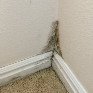 Photo of Pure Maintenance of California