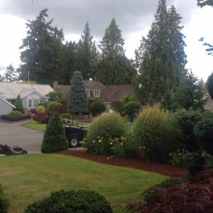 Photo of LN's Gardening Service