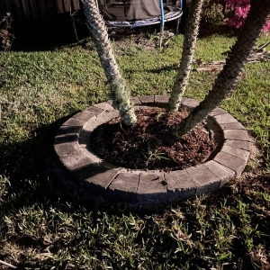 Photo of Smart Pavers