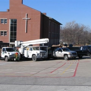 Photo of Ace Tree Service