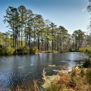 Photo of Holcombe Fair & Lane Real Estate