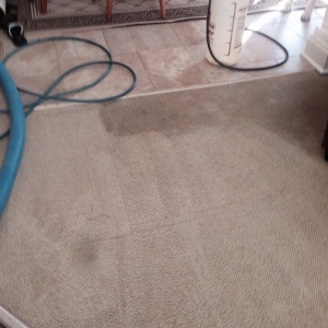 Photo of Buzby Carpet & Upholstery Cleaning