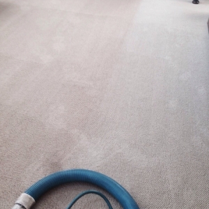 Photo of Buzby Carpet & Upholstery Cleaning