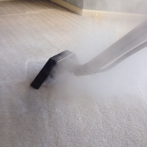 Photo of Buzby Carpet & Upholstery Cleaning