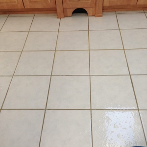 Photo of Buzby Carpet & Upholstery Cleaning