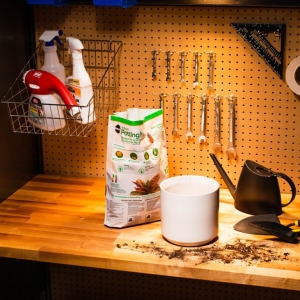 Photo of Hello Garage of Seattle