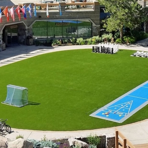 Photo of Artificial Grass Turf Pinecrest FL - IntelliTurf