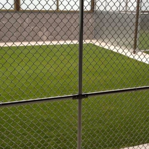 Photo of Artificial Grass Turf Pinecrest FL - IntelliTurf