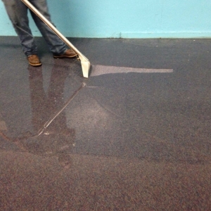 Photo of Johnson Mason Carpet Cleaning
