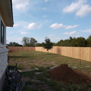 Photo of All Fenced Up