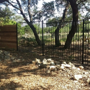 Photo of All Fenced Up
