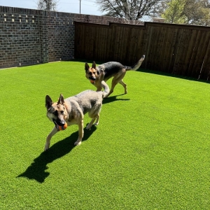 Photo of North Texas Luxury Lawns & Greens