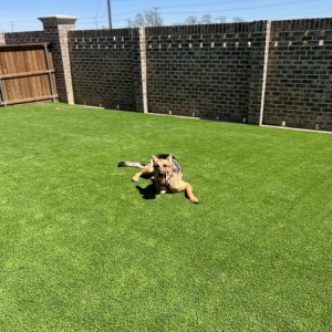 Photo of North Texas Luxury Lawns & Greens
