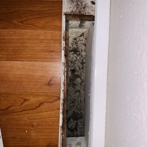Photo of Specialized Cleaning Services