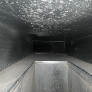 Photo of Specialized Cleaning Services