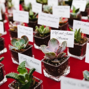 Photo of Papertini Floral & Event Design