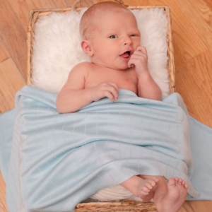 Photo of SnV Photography