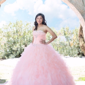 Photo of SnV Photography