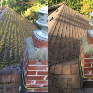 Photo of Gorgeous Window & Gutter