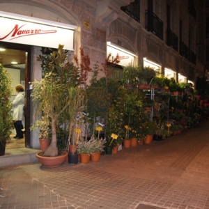 Photo of Flores Navarro