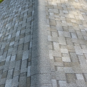 Photo of LALA Home Improvment
