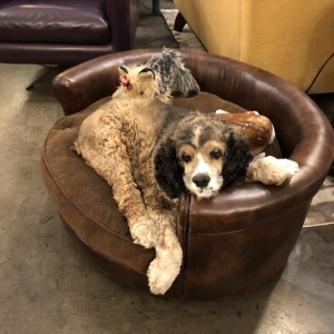 Photo of There's No Place Like Home Furniture