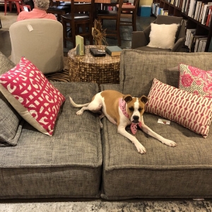 Photo of There's No Place Like Home Furniture