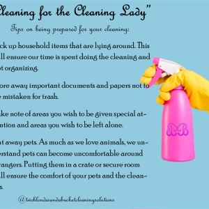 Photo of Two Blondes and a Bucket Cleaning Solutions