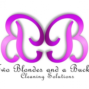 Photo of Two Blondes and a Bucket Cleaning Solutions