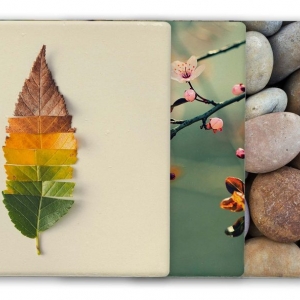 Photo of Northwest Fine Art Printing